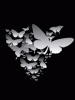 anim240320mobildesign.atw.hu_0223.gif